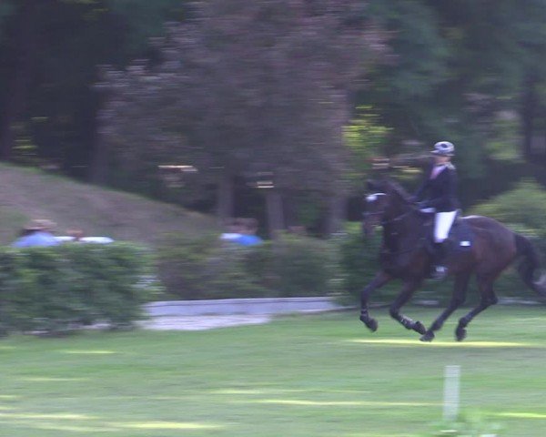 Reitturnier Ruhlsdorf 2024