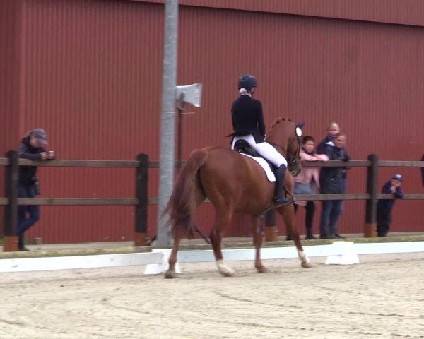 Reitturnier Sörup 2024