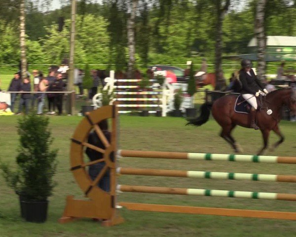 Reitturnier Hille 2024