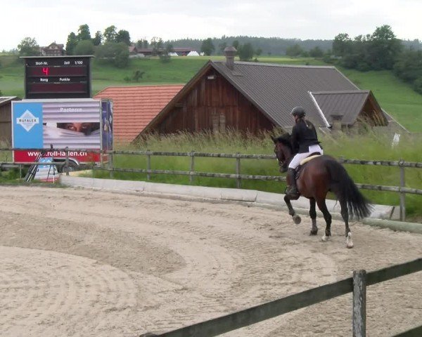 Reitturnier Ruswil 2024