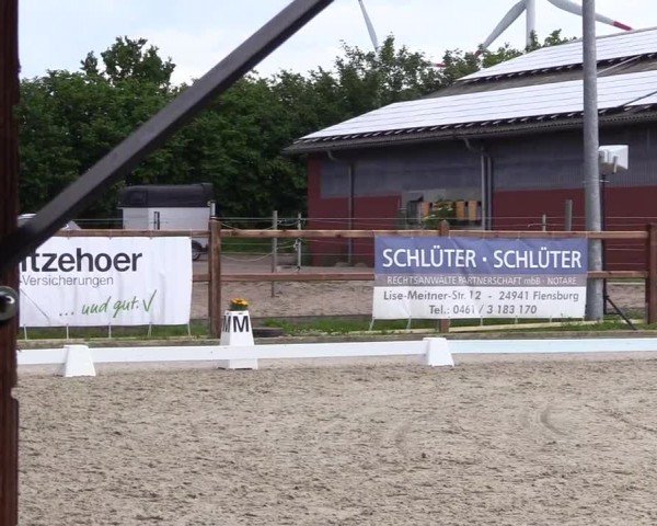 Reitturnier Sörup 2024