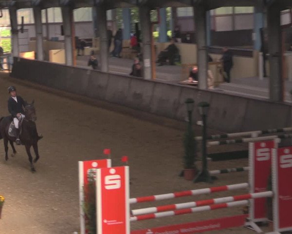 Reitturnier Legden 2021