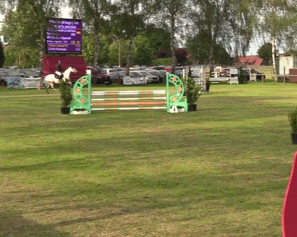 Reitturnier Hille 2024
