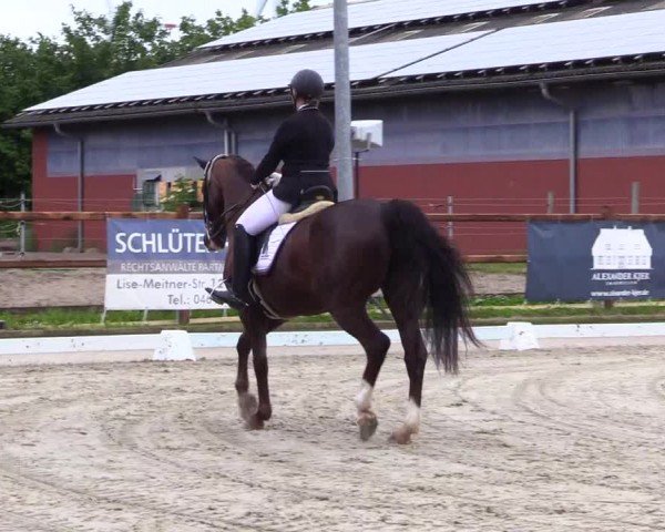 Reitturnier Sörup 2024