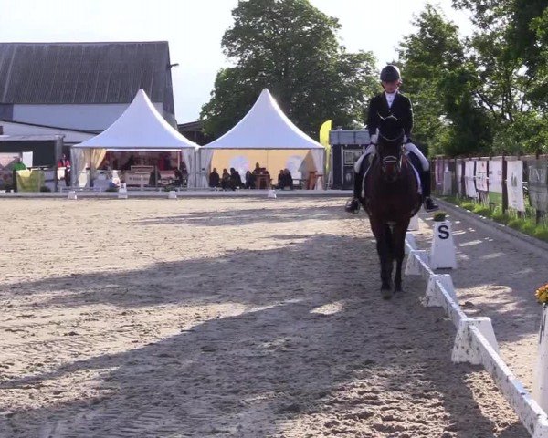 Reitturnier Sörup 2024