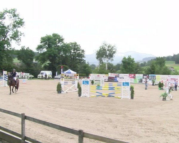 Reitturnier Ruswil 2024
