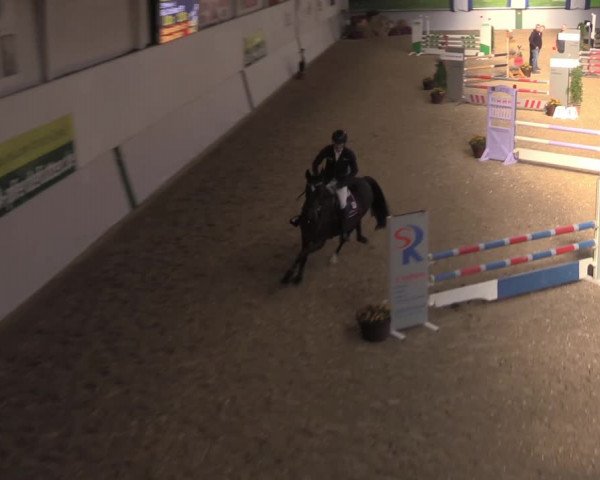 Reitturnier Legden 2021