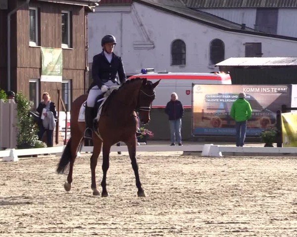 Reitturnier Sörup 2024