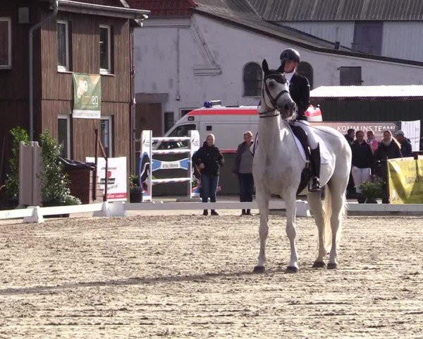 Reitturnier Sörup 2024