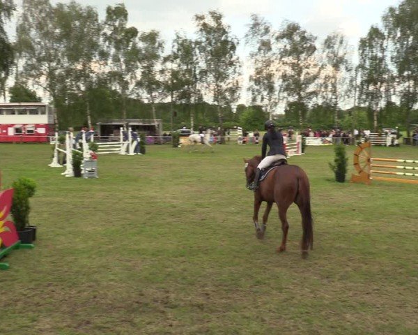 Reitturnier Hille 2024