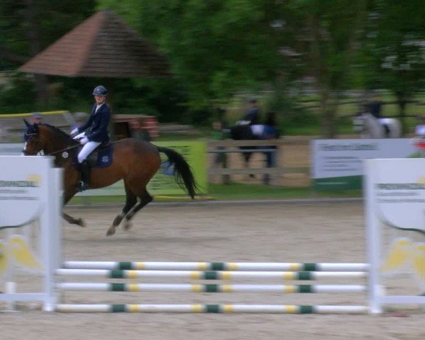 Reitturnier Barlo-Bocholt 2024