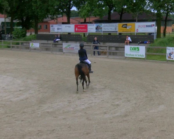 Reitturnier Barlo-Bocholt 2024