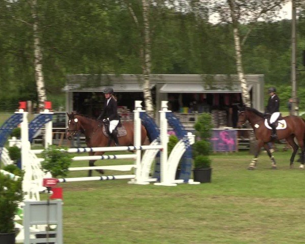 Reitturnier Hille 2024