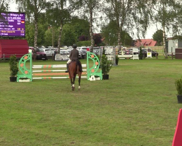 Reitturnier Hille 2024