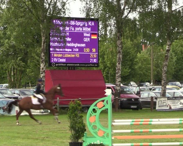 Reitturnier Hille 2024