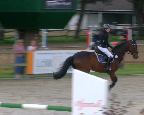Reitturnier Barlo-Bocholt 2024