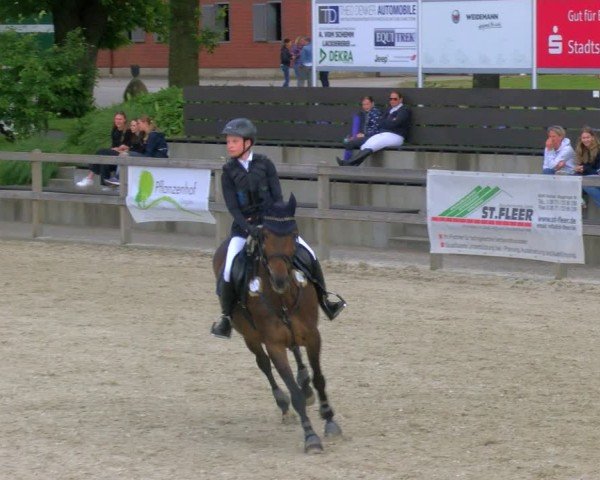 Reitturnier Barlo-Bocholt 2024