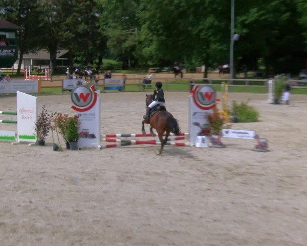 Reitturnier Barlo-Bocholt 2024