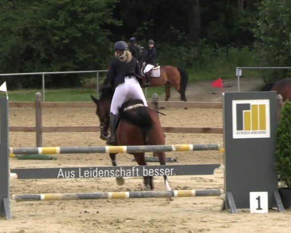 Reitturnier Oelde 2024