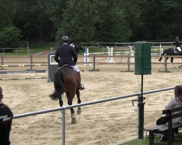 Reitturnier Oelde 2024
