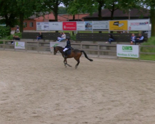 Reitturnier Barlo-Bocholt 2024