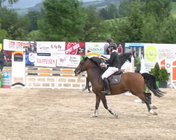 Reitturnier Ruswil 2024