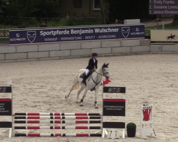 Reitturnier Dorfchemnitz 2024