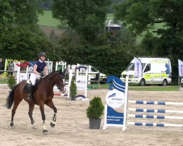 Reitturnier Ruswil 2024