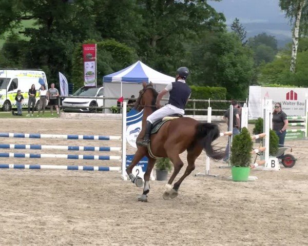 Reitturnier Ruswil 2024