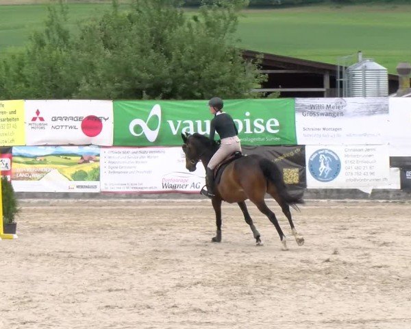 Reitturnier Ruswil 2024