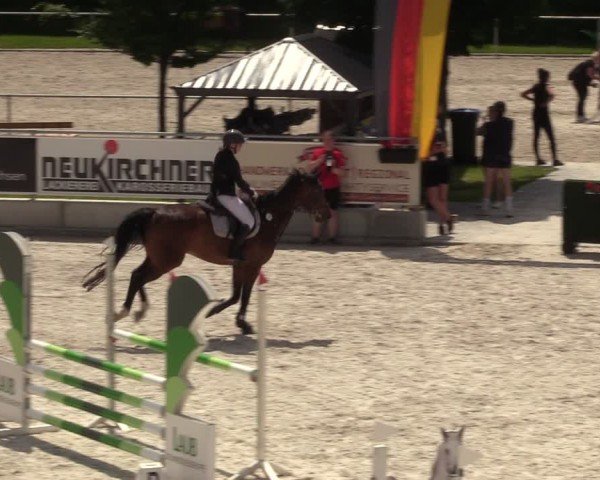 Reitturnier Dorfchemnitz 2024