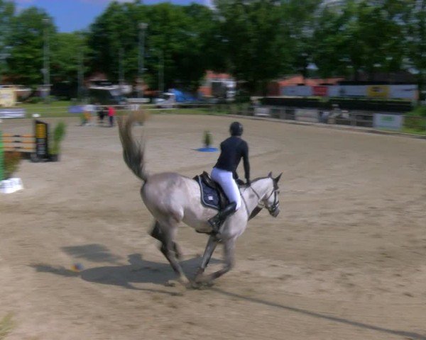 Reitturnier Barlo-Bocholt 2024