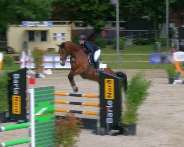 Reitturnier Barlo-Bocholt 2024