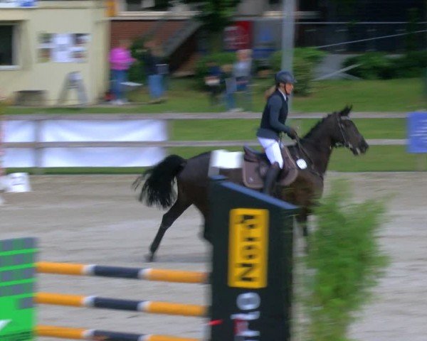 Reitturnier Barlo-Bocholt 2024