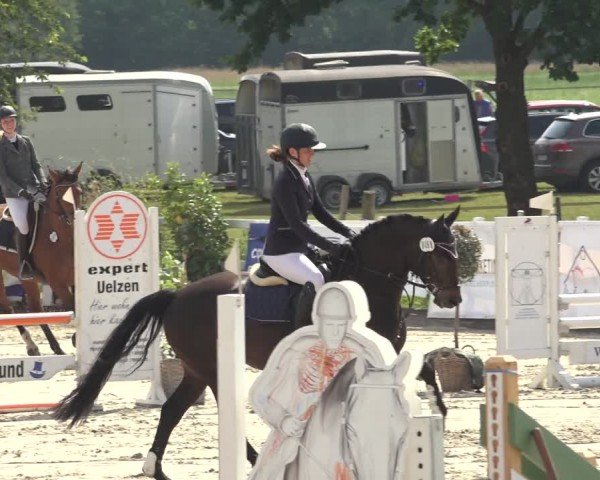 Reitturnier Brockhöfe 2024