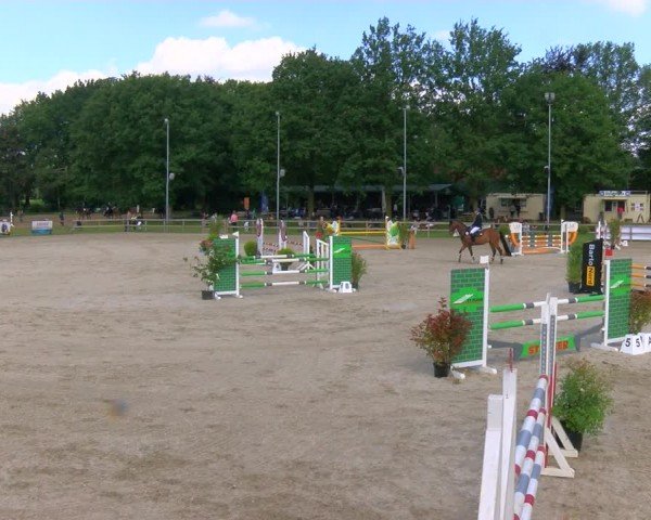 Reitturnier Barlo-Bocholt 2024