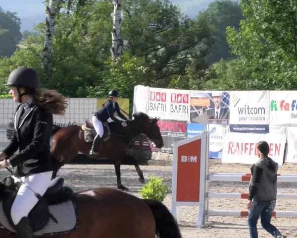 Reitturnier Ruswil 2024