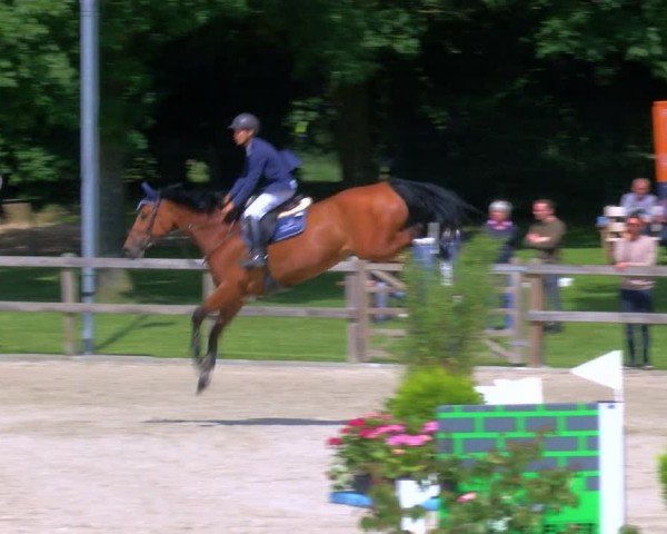 Reitturnier Barlo-Bocholt 2024