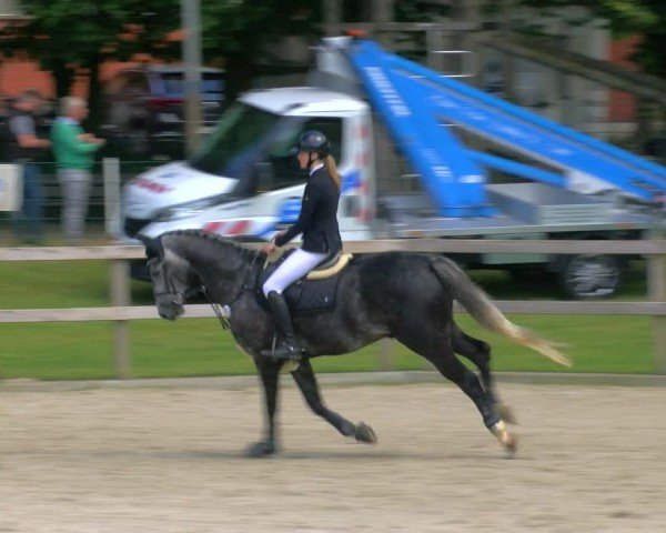 Reitturnier Barlo-Bocholt 2024