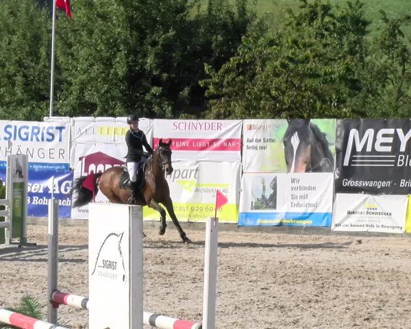 Reitturnier Ruswil 2024