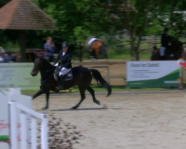 Reitturnier Barlo-Bocholt 2024