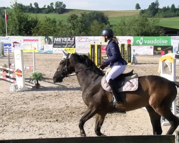 Reitturnier Ruswil 2024