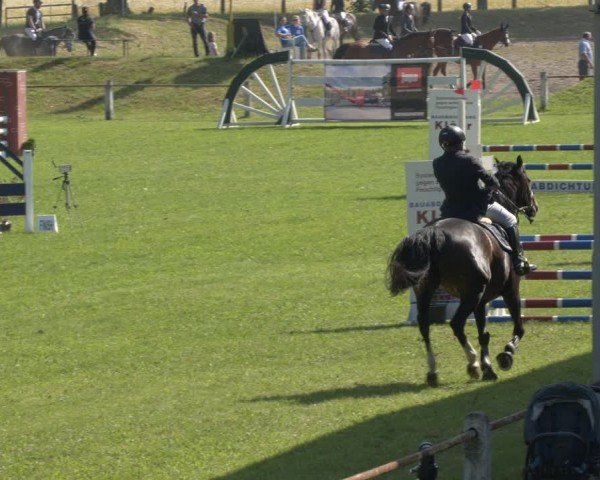 Reitturnier Sonnewalde 2024