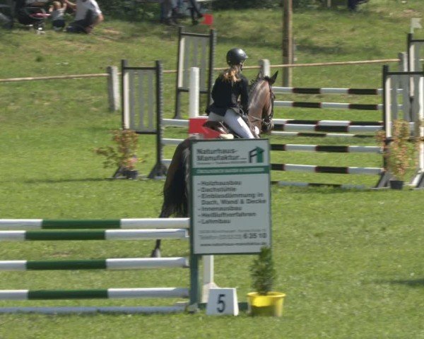 Reitturnier Sonnewalde 2024