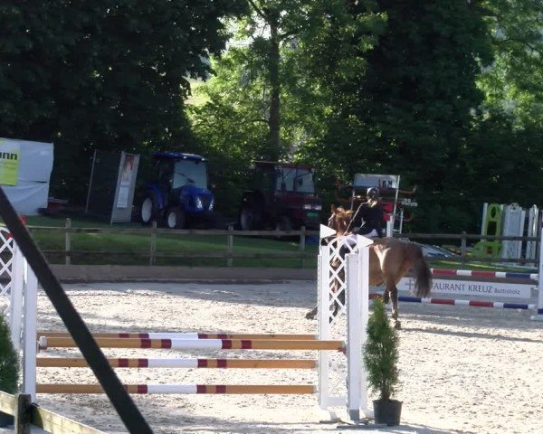 Reitturnier Ruswil 2024