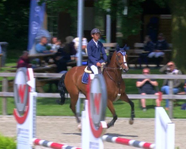 Reitturnier Barlo-Bocholt 2024