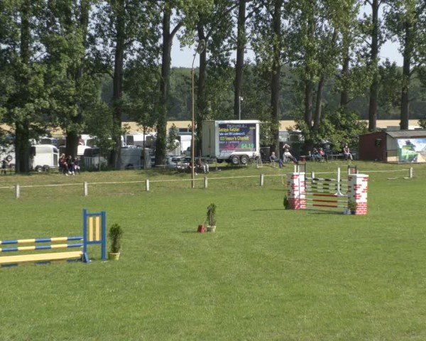 Reitturnier Sonnewalde 2024