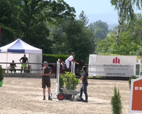 Reitturnier Ruswil 2024