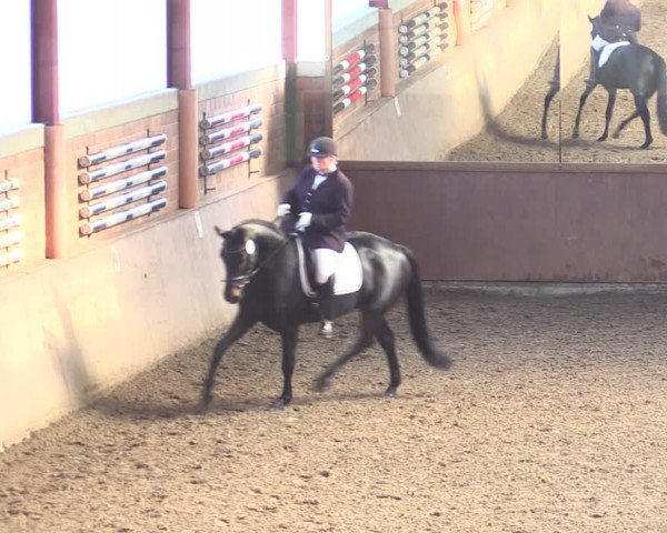 Reitturnier Herzebrock-Rheda 2021