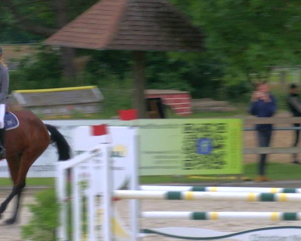 Reitturnier Barlo-Bocholt 2024